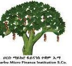 Harbu Microfinance Institution S.Co