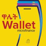 Wallet Microfinance Institution