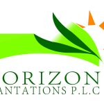 HORIZON PLANTATION P.L.C