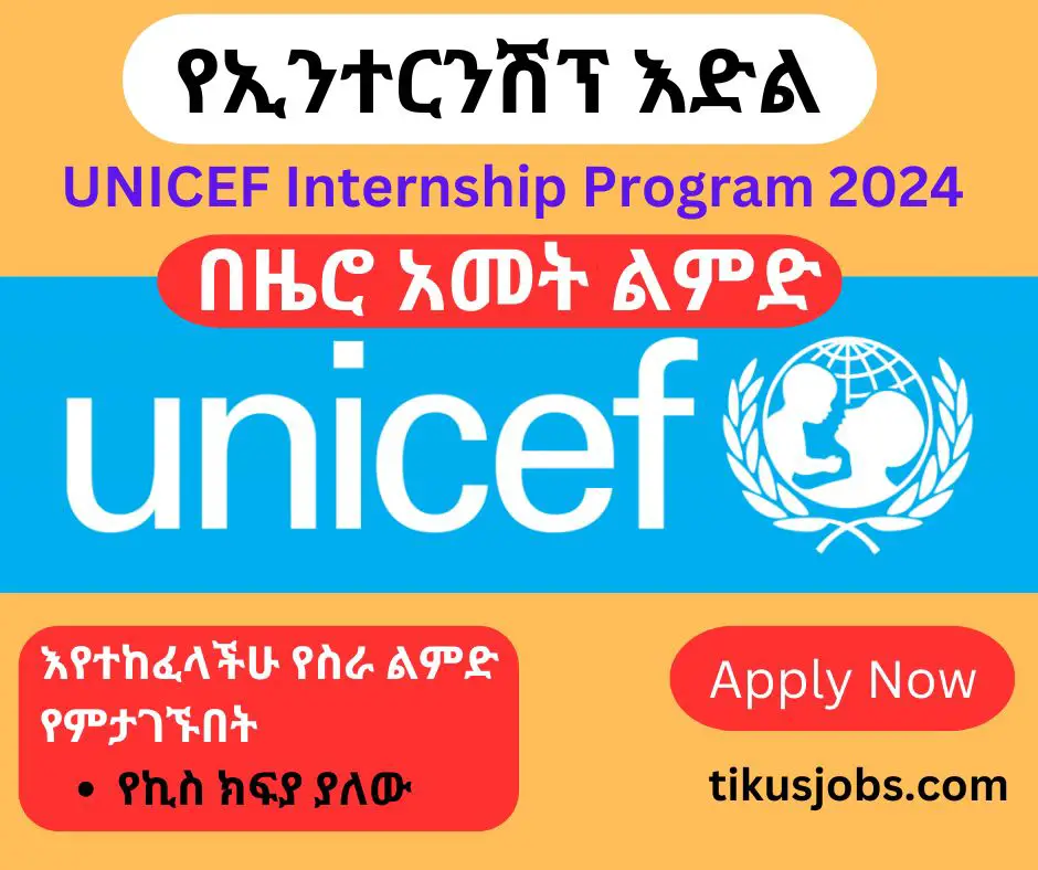 UNICEF Internship Program 2024 | Paid Internships